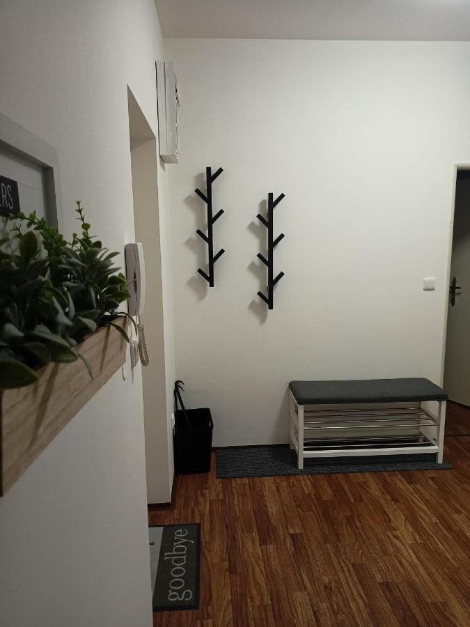 Apartman U Fontany ปอดเยบราดิ ภายนอก รูปภาพ